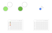 PeptideWorks Protocol B, 4 Samples, with Conc. Norm. - thumbnail