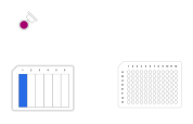 5-Fold Serial Dilution by Row - thumbnail