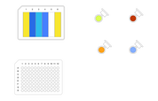 Rapid Subunit Screening, 8 Samples - thumbnail