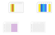 Rapid Subunit Screening, 48 Samples - Step B - thumbnail