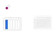 2-Fold Serial Dilution by Row - thumbnail