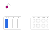 5-Fold Serial Dilution by Column - thumbnail