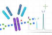 main illustration image - Automated mAb Subunit Screening