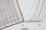 main illustration image - Single-Step SYBR® Green RT-qPCR