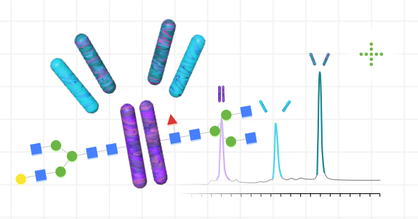 Protocol illustration image