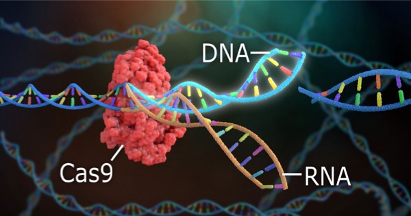 Protocol illustration image