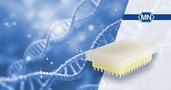 Protocol illustration image