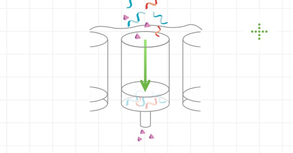 Protocol illustration image