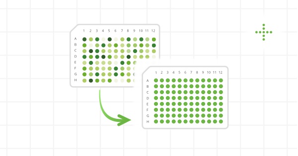 Protocol illustration image